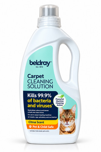 Beldray carpet cleaning - carpet,