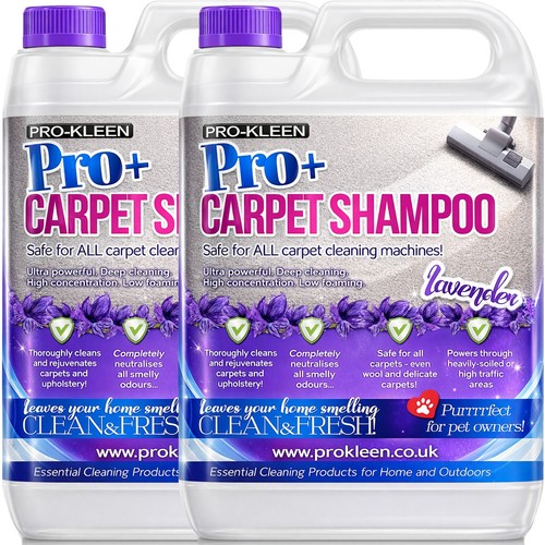 Professional carpet cleaning - professional,